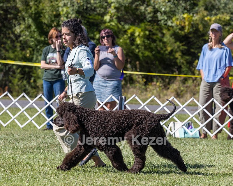 09 - GCH CH POOLE'S IDE DARK KNIGHT RN CGC TKN ATT (Oscar)