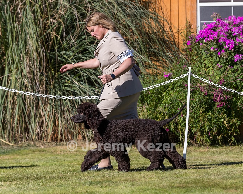 12 - FLINTCREST FLYING TRAPEZE (Kelly)