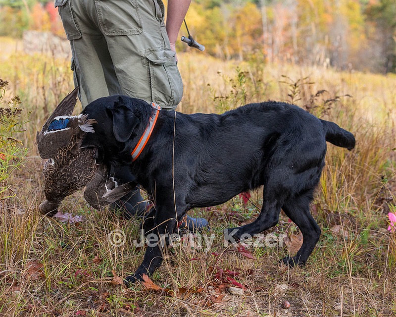 20191013-WCL-0026.jpg