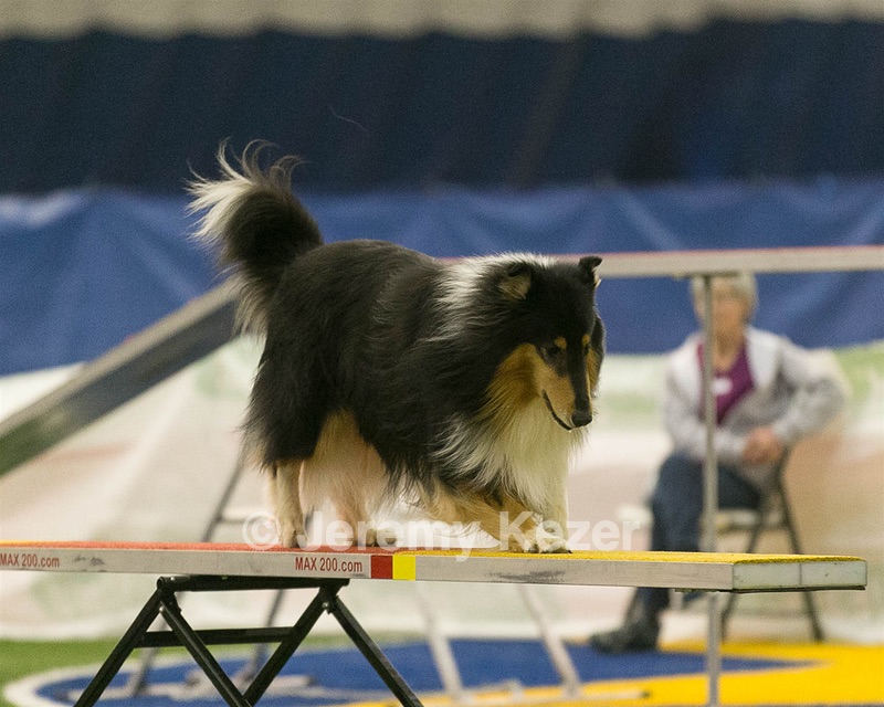 20150321-LEAP-0649.jpg