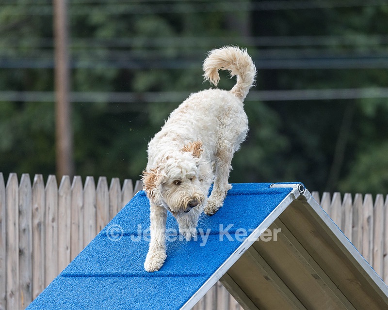 Winchester Gagnon-
Shippee