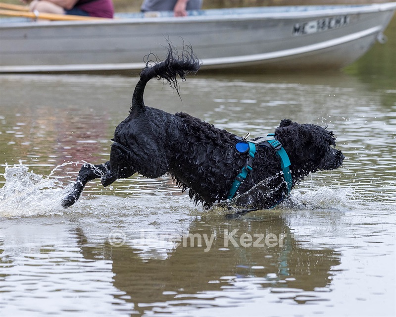 Kayla Ratner
