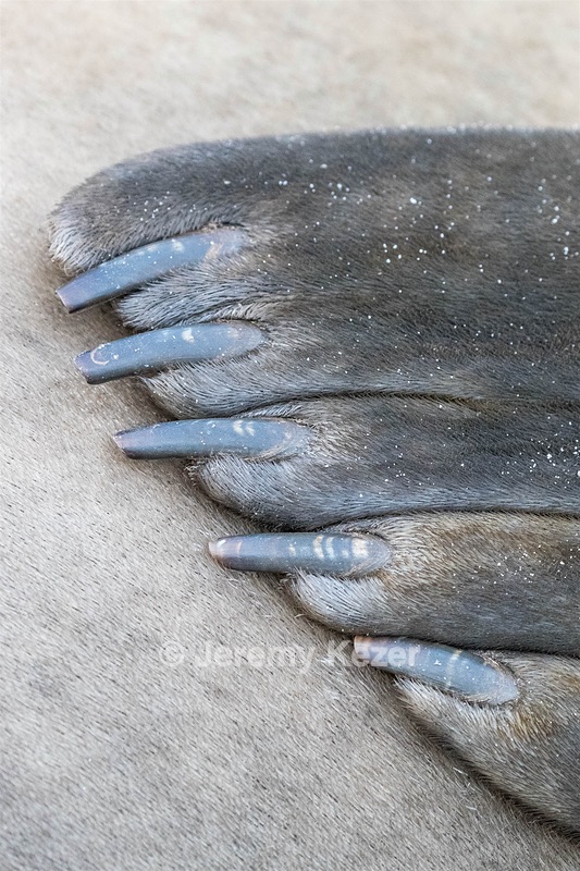 20191218-2288.jpg