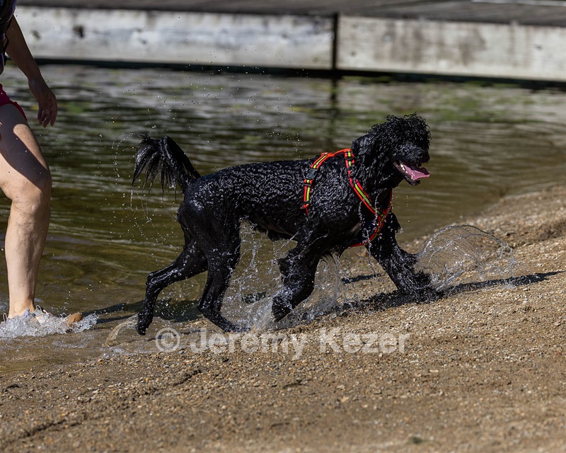 Ziva Hyres