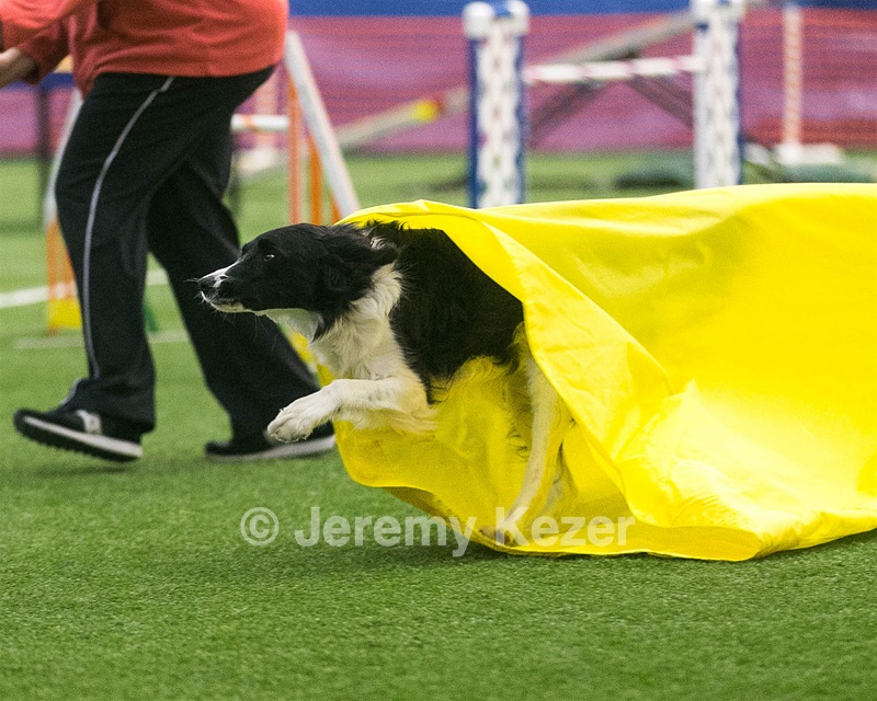 20150322-LEAP-0733.jpg