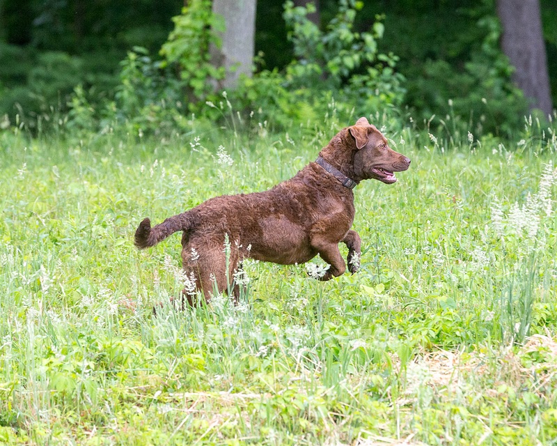 Easton
