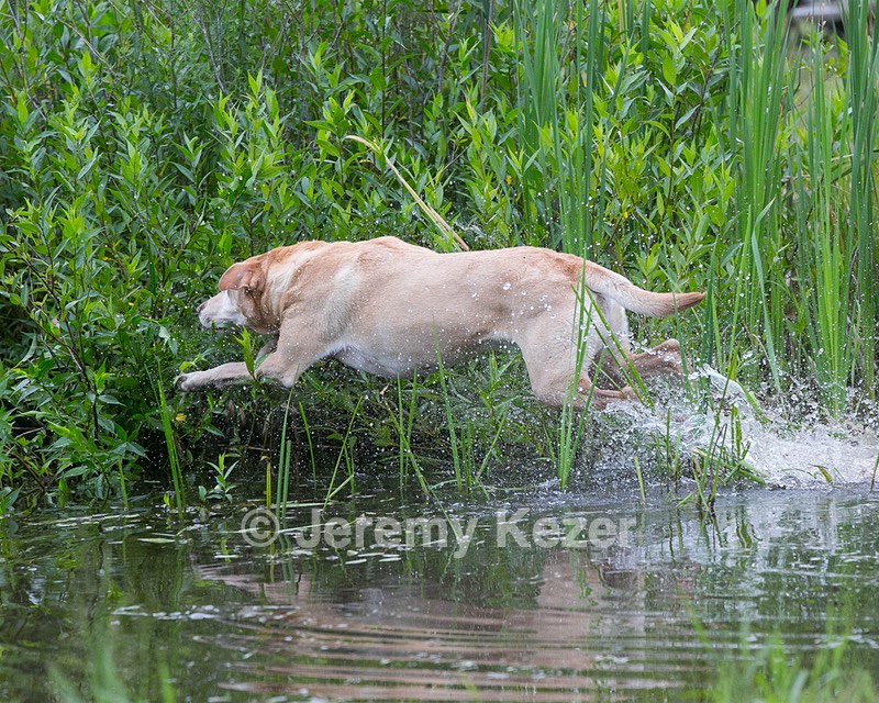 20130713-MHB2-0264.jpg