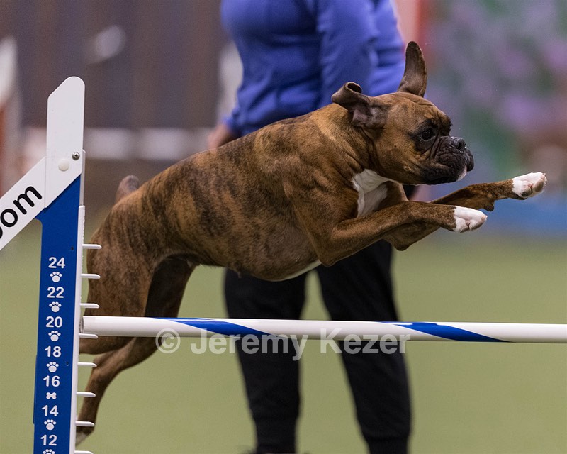 Gertie Armour