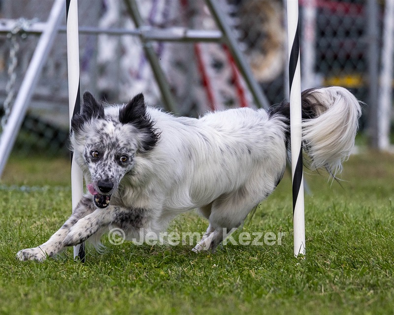 20230917-PVKC-2811.jpg