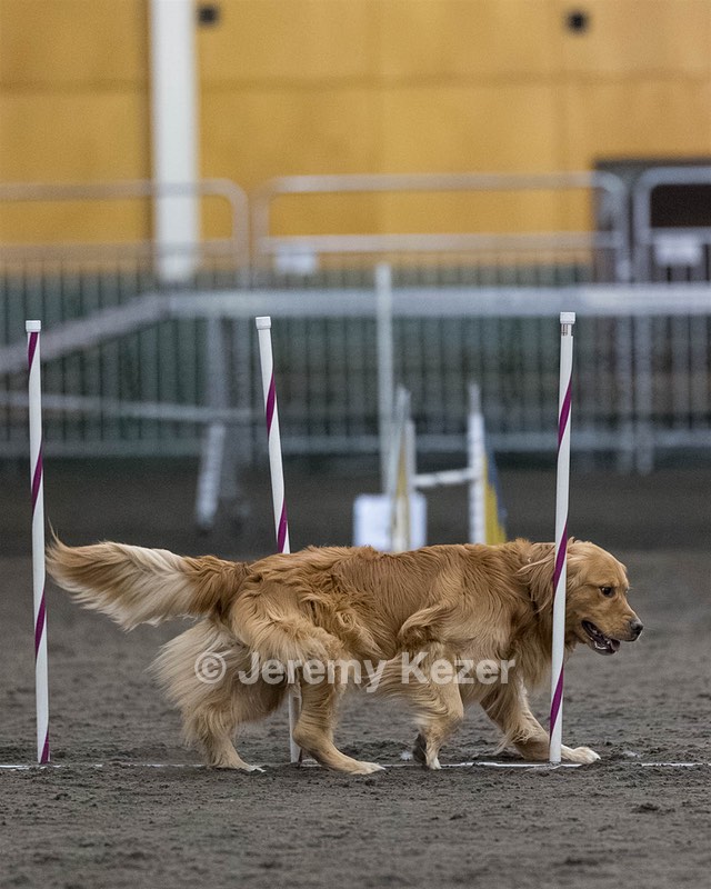 Pup-Pup Beaulieu