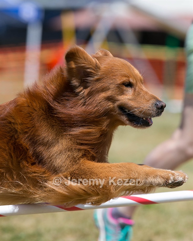20150613-CCKC-0086.jpg