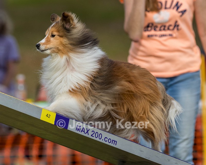 20180616-1829.jpg