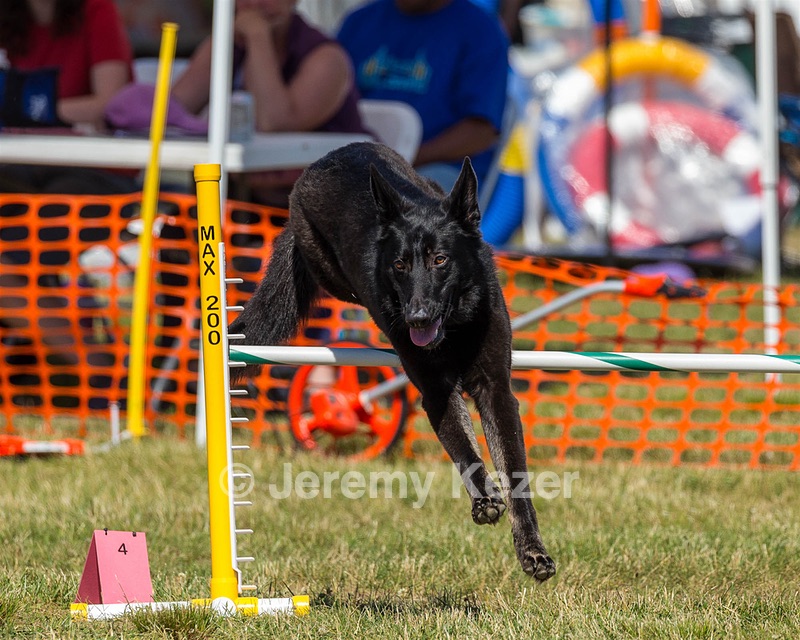 20180617-1637.jpg
