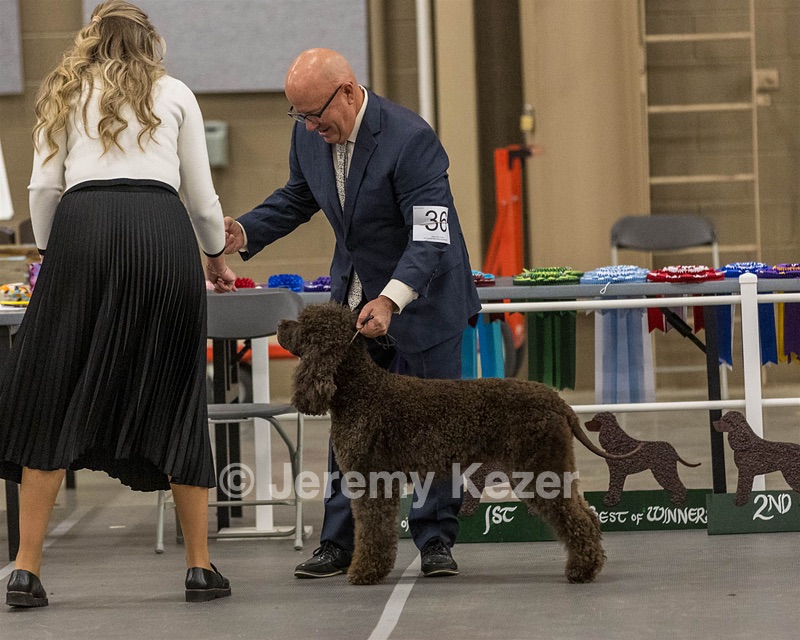 36 - GCH Blackthorn’s Lass That Loves A Sailor in Wicklow CD RM
CGC