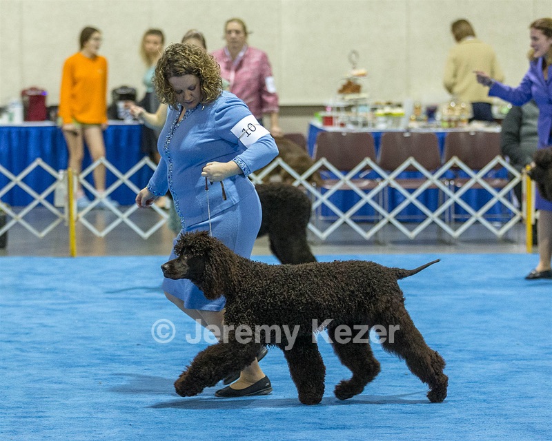 10 - Poole's Ide Touch Of Mink (Darla)