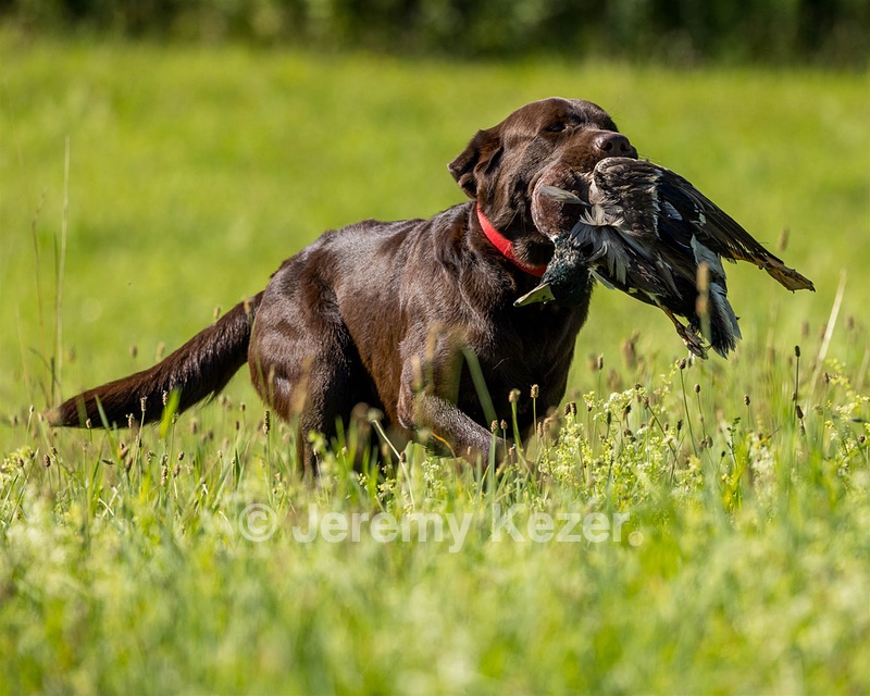 Gunny Fisher
