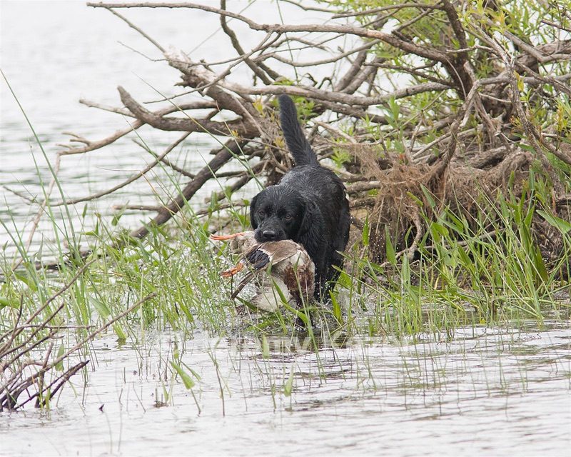 20080531-HRW-0497.jpg