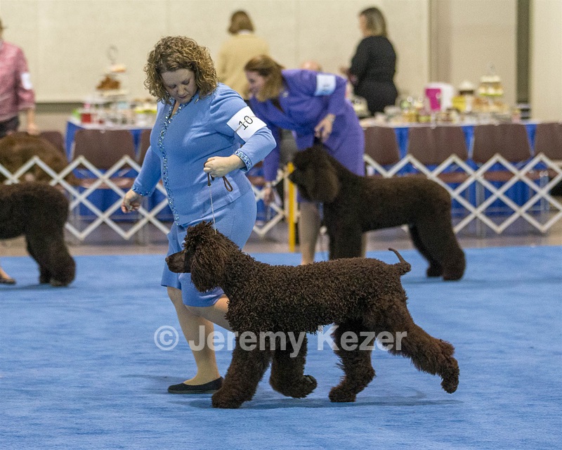 10 - Poole's Ide Touch Of Mink (Darla)
