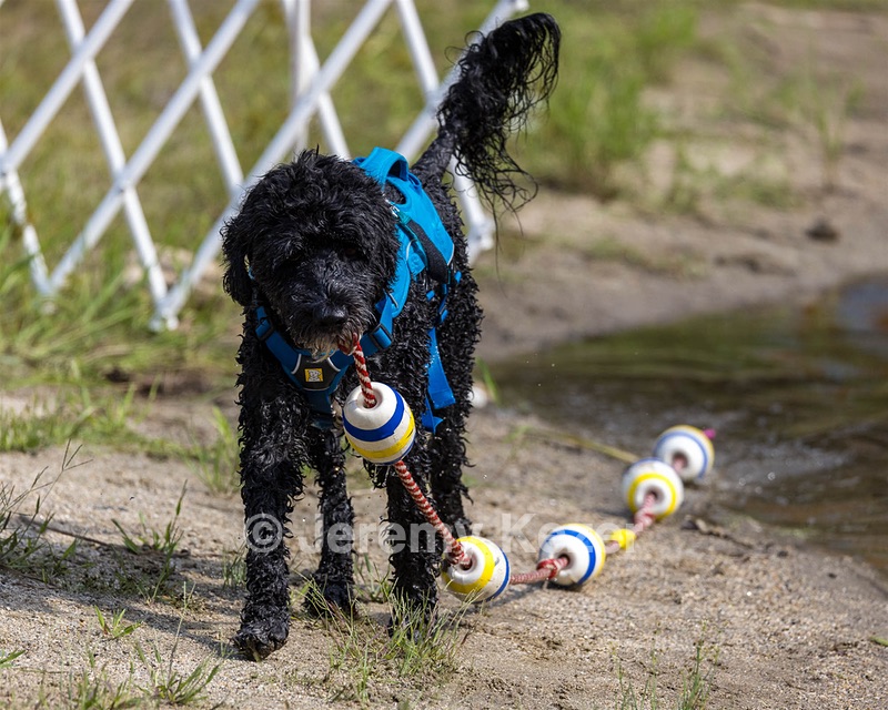 Fenwick Kutner