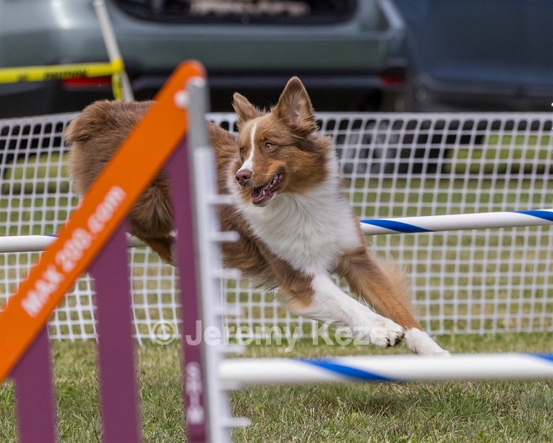 20230916-PVKC-2049.jpg
