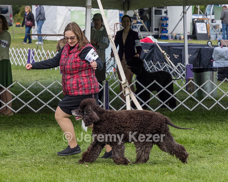 22 - CH Navarone's Absolutely Fabulous RN (Edwina)