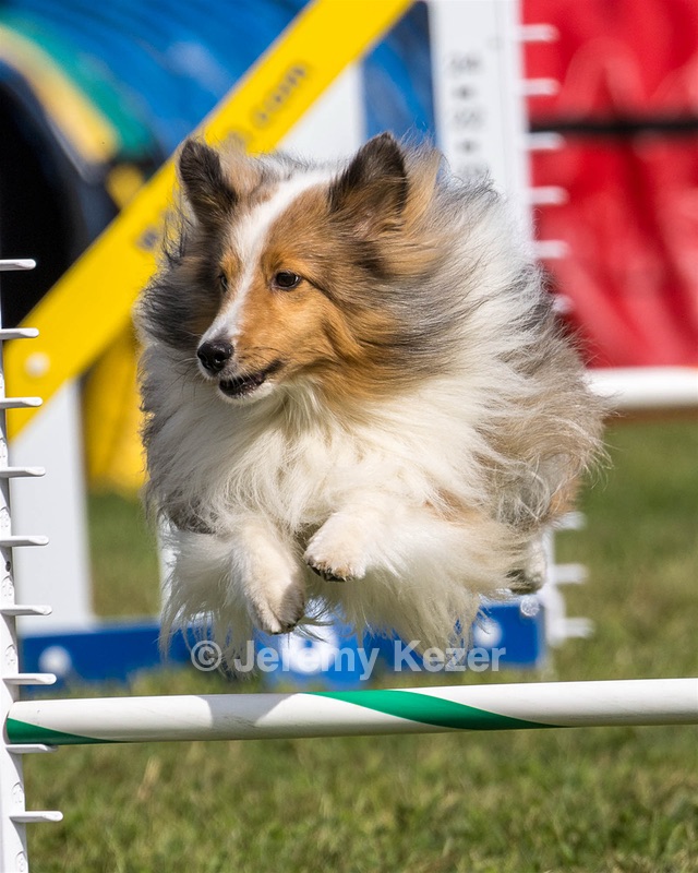 20230916-PVKC-1137.jpg