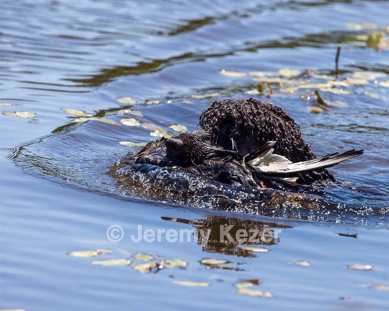 Ghillie Kezer