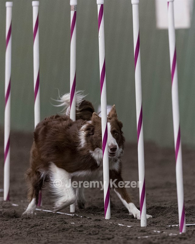 Ruff Bettler