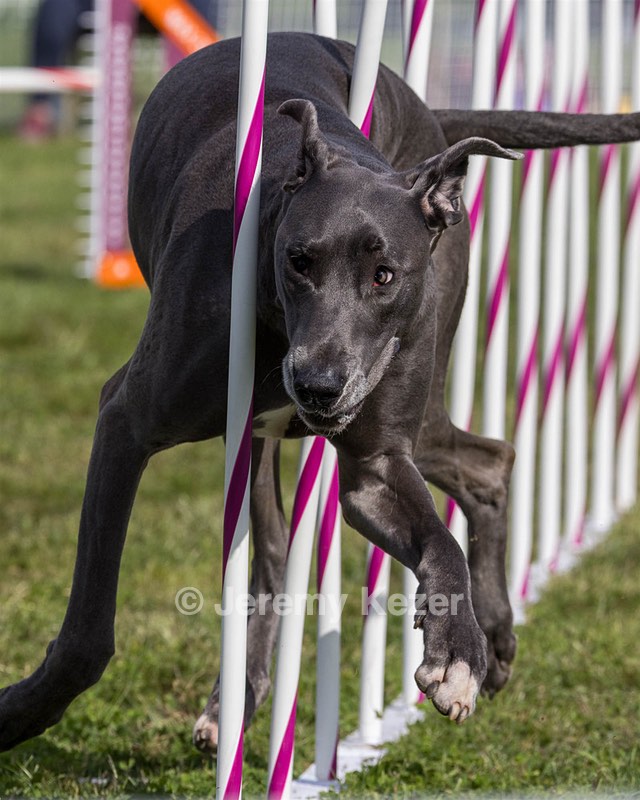 Ford Kicklighter