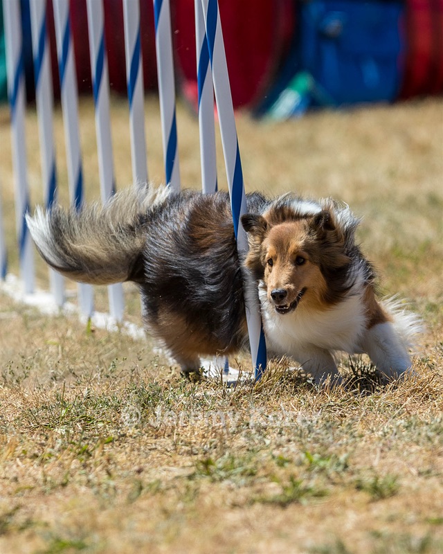 20160618-CCKC-1853.jpg