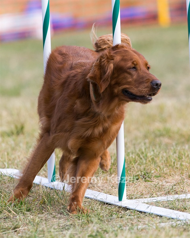20150614-CCKC-0057.jpg