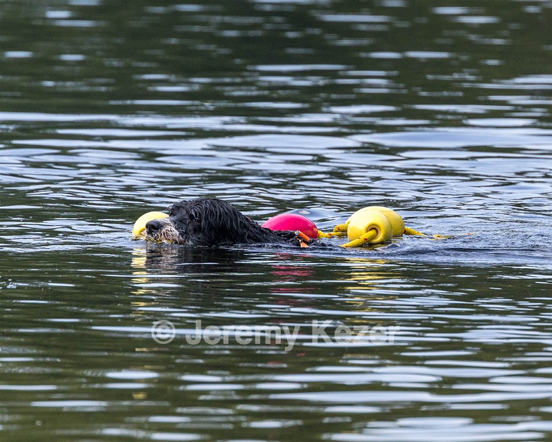 Nelly Abbruzzese