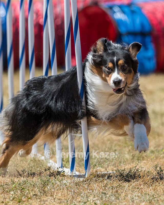20160618-CCKC-1627.jpg