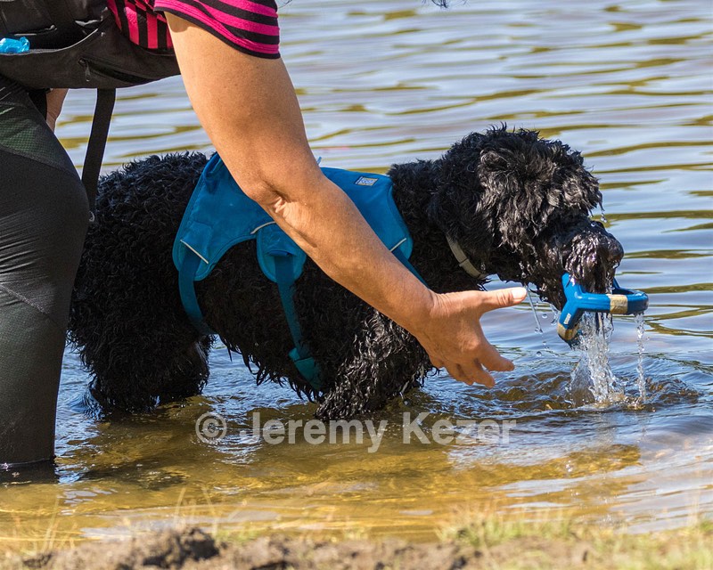 Fenwick Janet