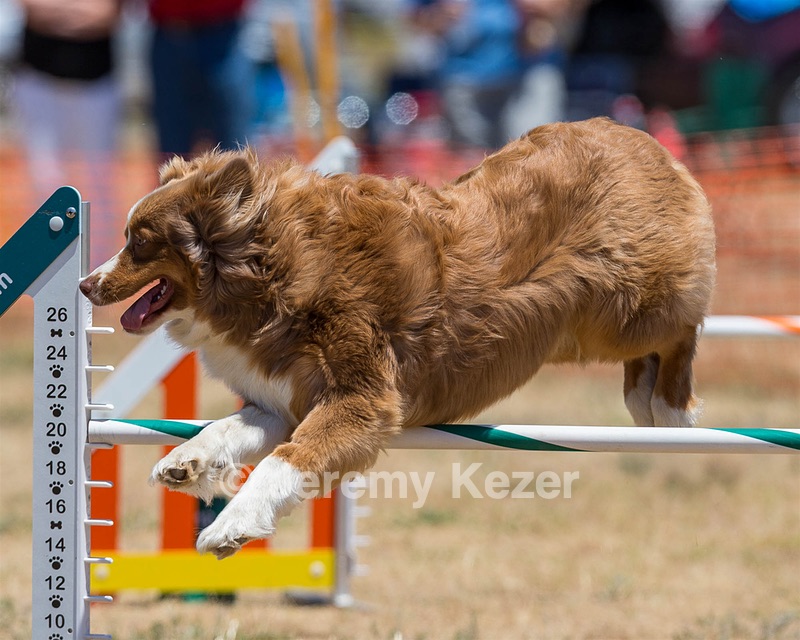 20160619-CCKC-1046.jpg