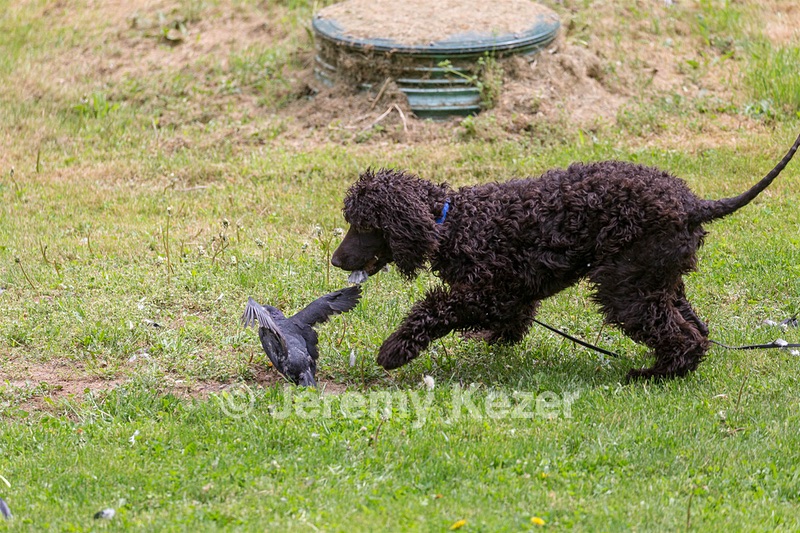 20190512-BD-0066.jpg