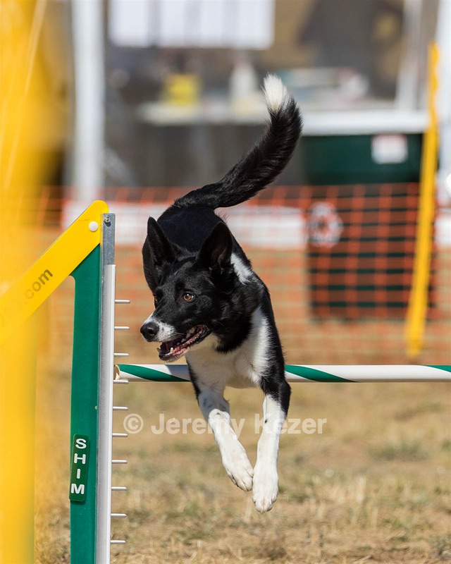 20160619-CCKC-1805.jpg