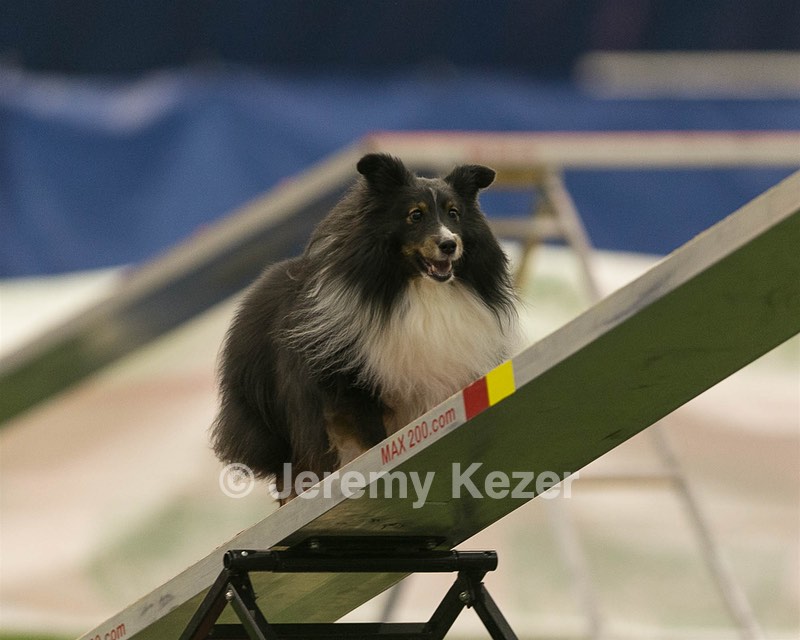 20150321-LEAP-1664.jpg