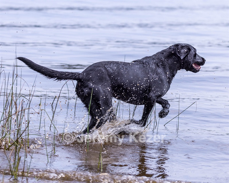 Filly Broome