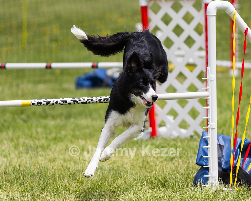 20160515-NEAT-1331.jpg
