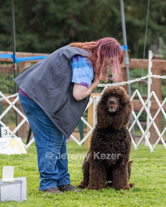 2401 - CAT'S' RUSTY CHARLIE RI CGC TKA (Dugan)