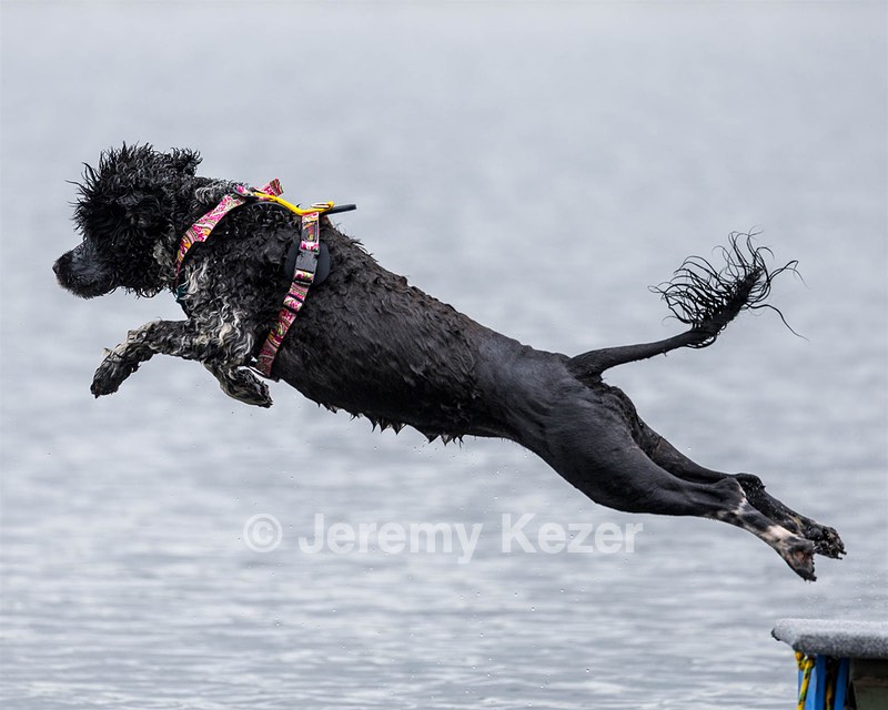 Kayla Ratner