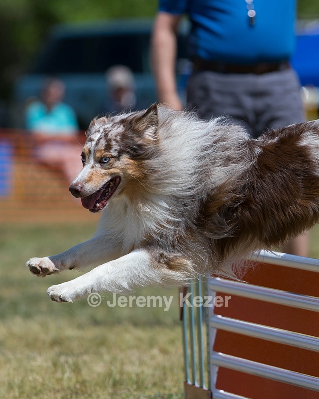 20150613-CCKC-0078.jpg