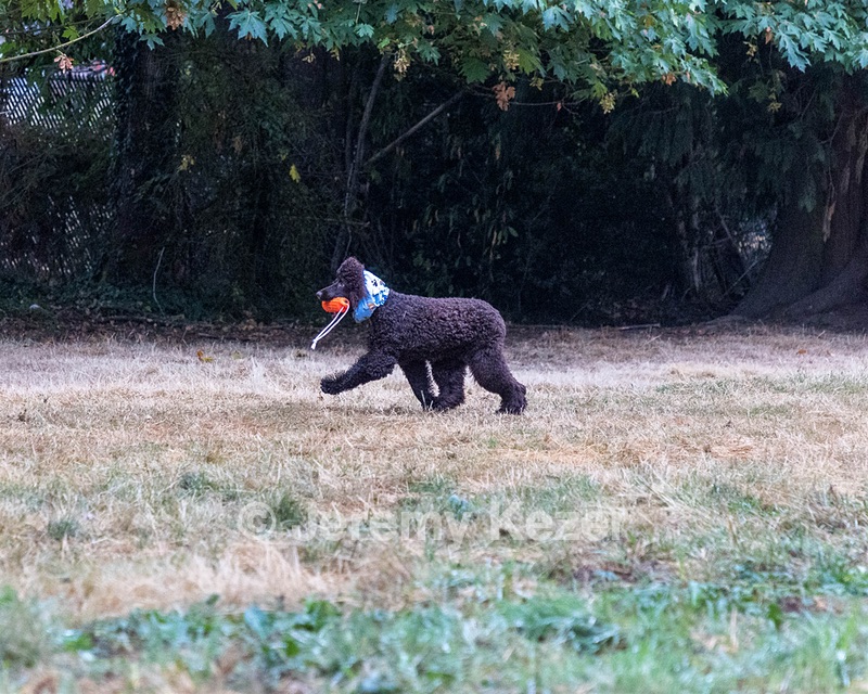 20210827-BD-0177.jpg