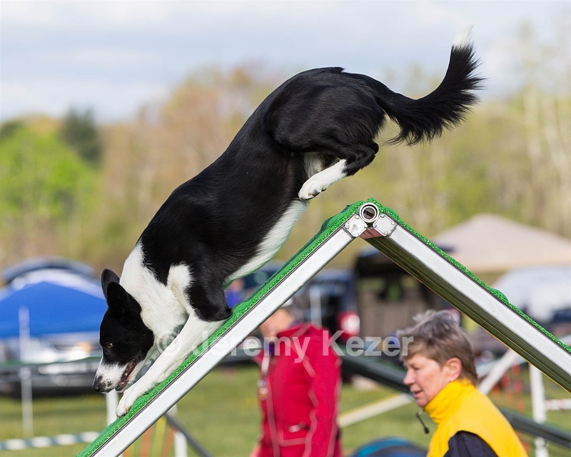 20160515-NEAT-0013.jpg