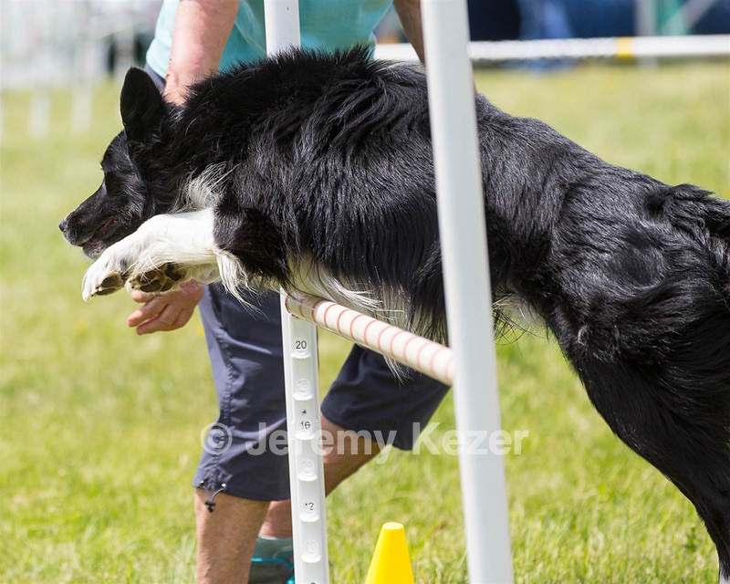 20160514-NEAT-0718.jpg