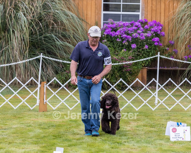 2801 - CH BLACKTHORN'S LASS THAT LOVES A SAILOR IN WICKLOW CD BN RM CGC