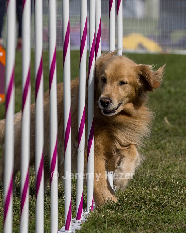 20230916-PVKC-1320.jpg