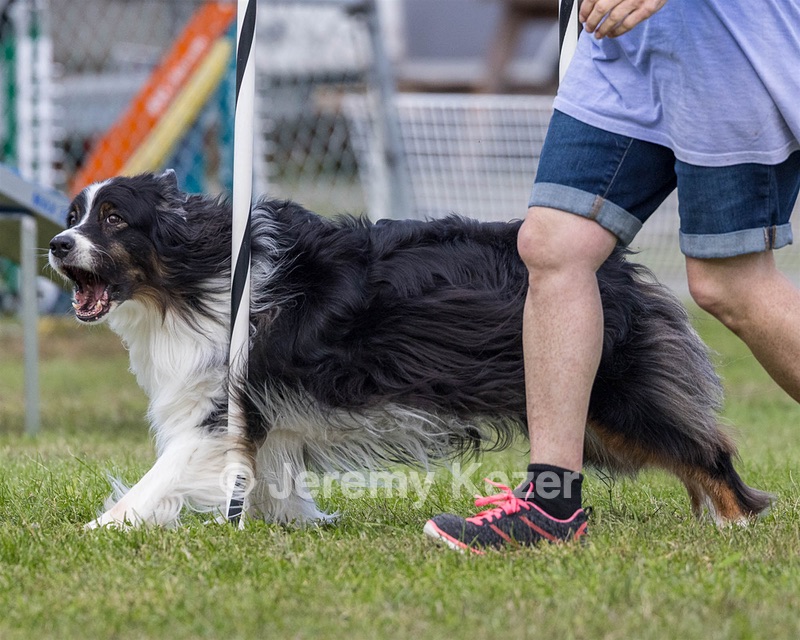 20230917-PVKC-2780.jpg
