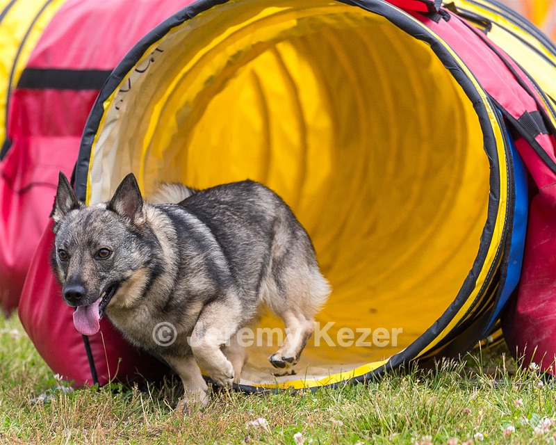 Valkyrie Allen